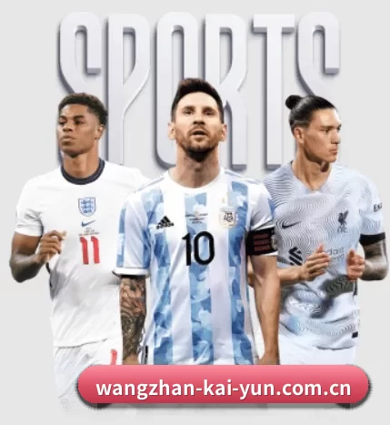 wangzhan-kai-yun.com.cn APP 界面(kaiyun)